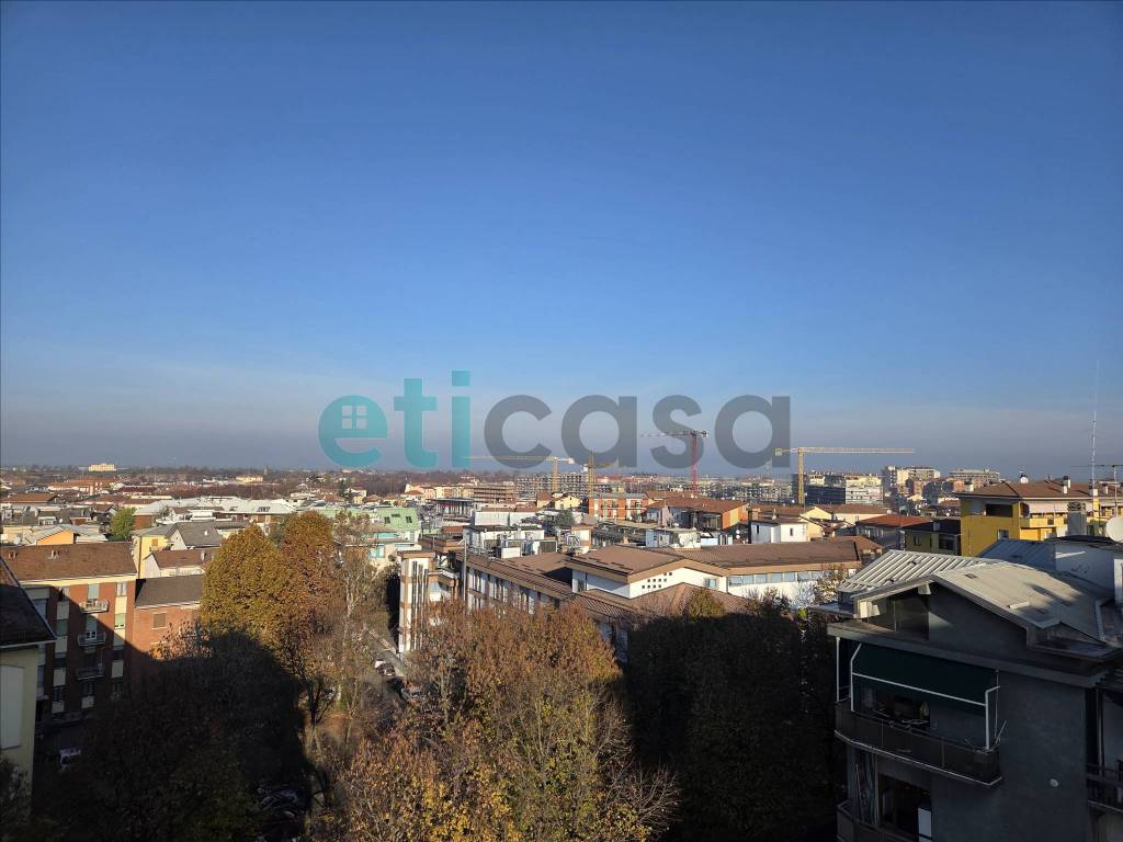 Vista