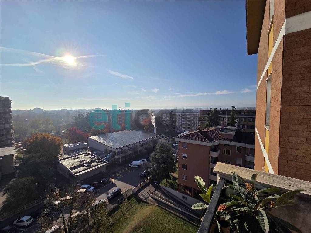 Vista