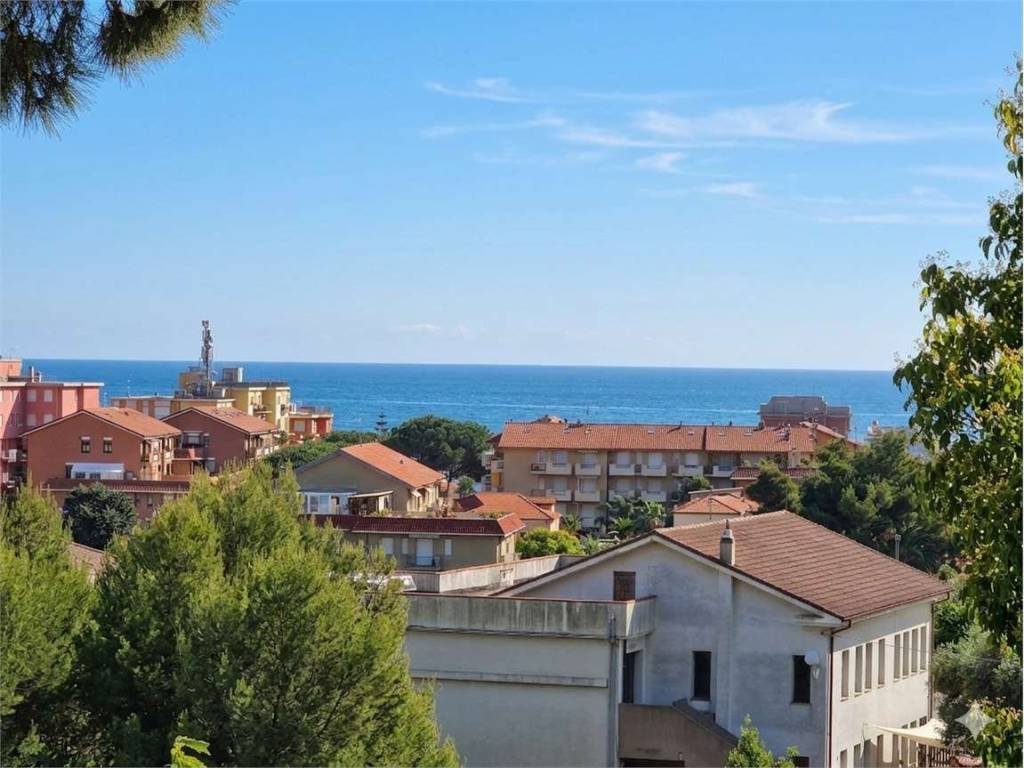 Vista