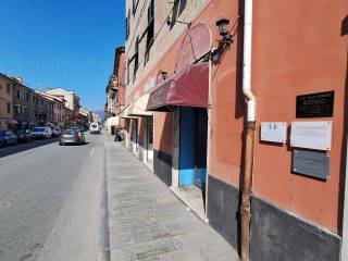 Zona