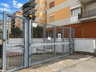 Ingresso