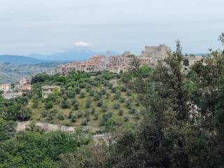 Vista