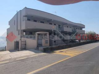 Zona