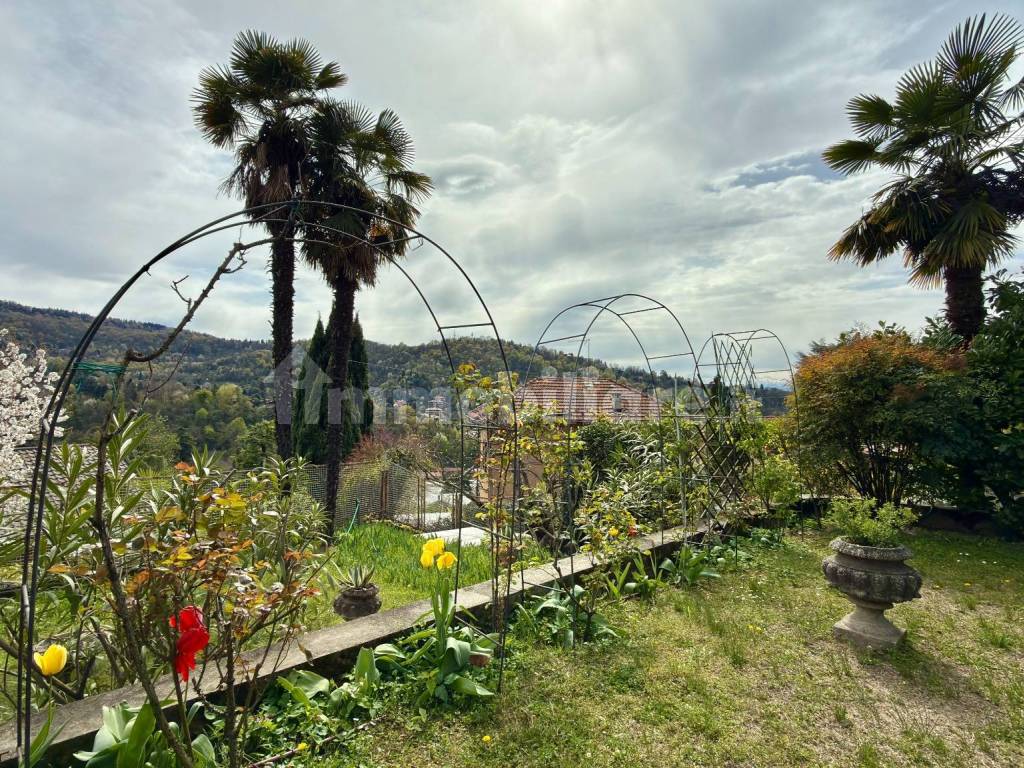 Giardino