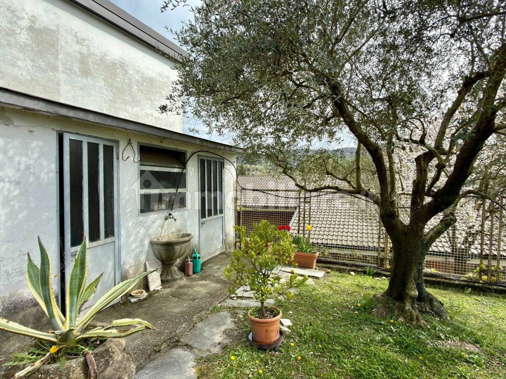 Giardino