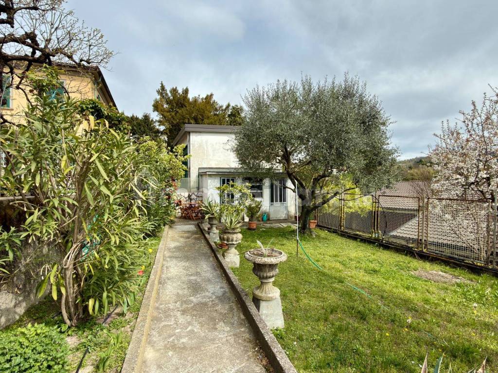 Giardino