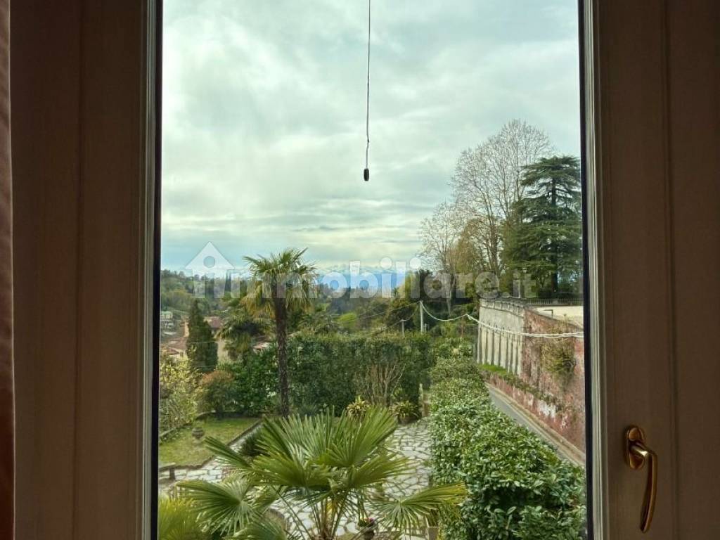Vista