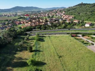 Vista