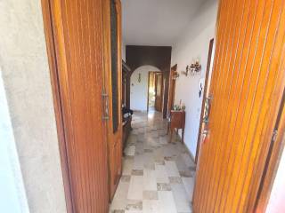 Ingresso