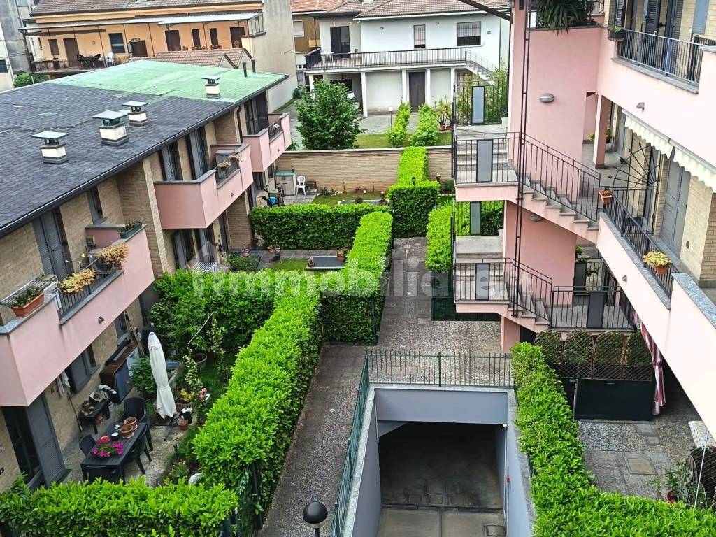 Vista