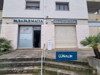 Ingresso