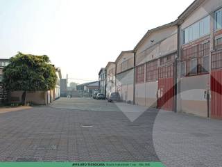 Zona