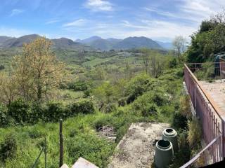 Vista