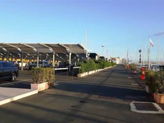 Zona