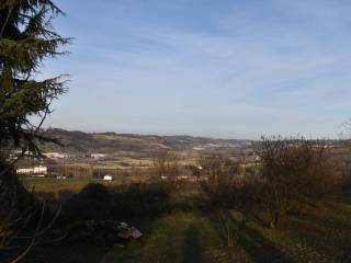 Vista