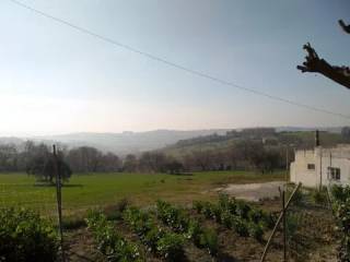 Vista