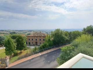 Vista