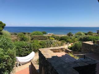 Vista