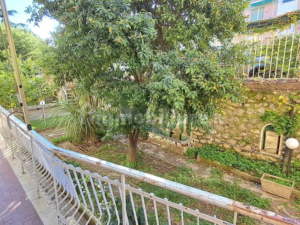 Giardino