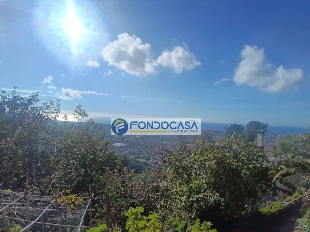 Vista