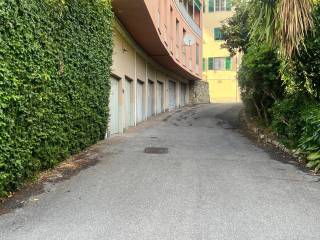 Zona