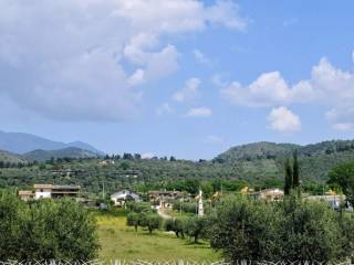 Vista