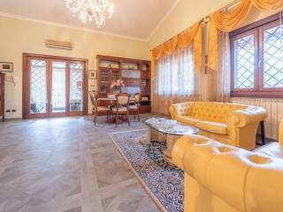 Salone