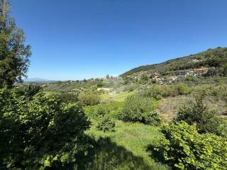 Vista