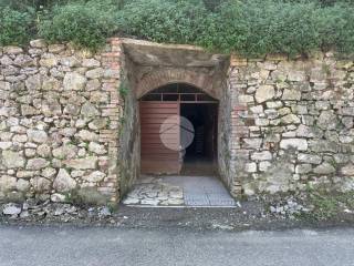 Ingresso