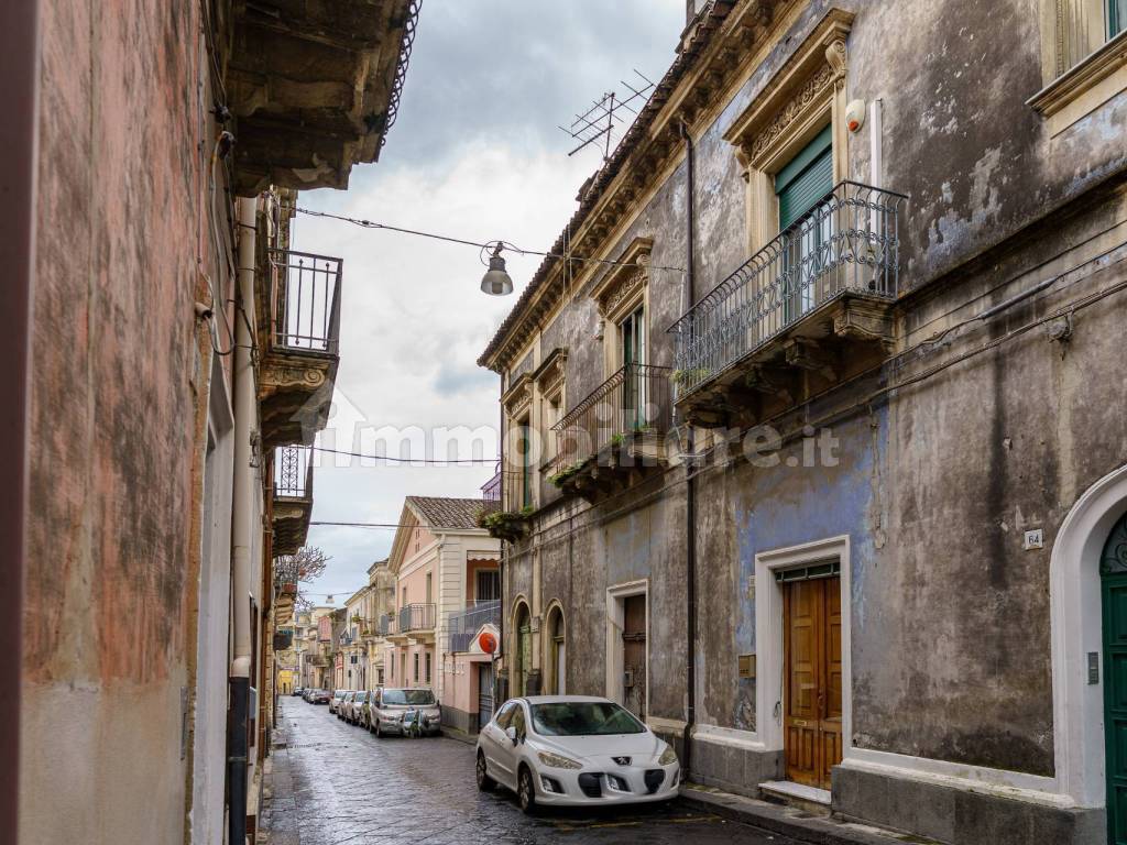 Zona