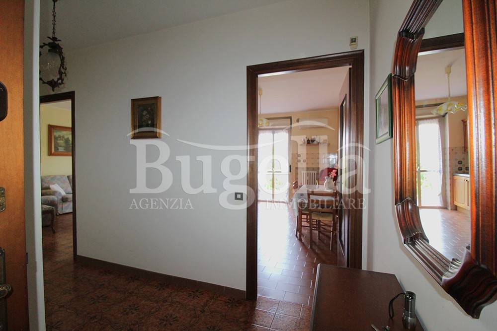 Ingresso