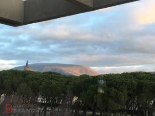 Vista
