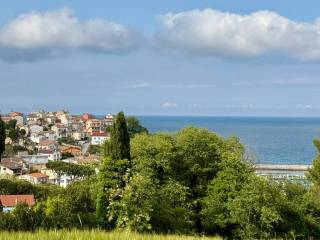 Vista
