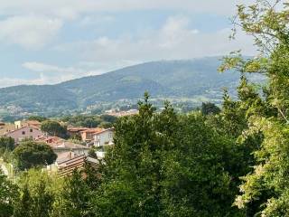 Vista