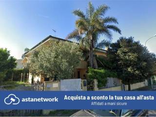 Zona
