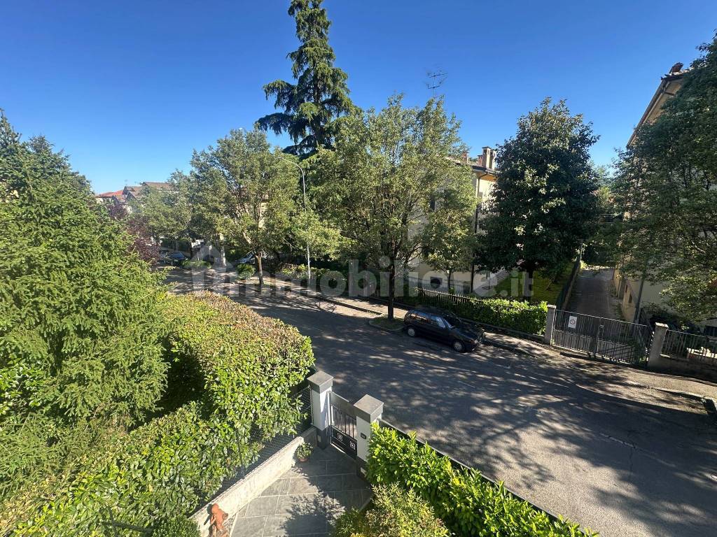 Vista
