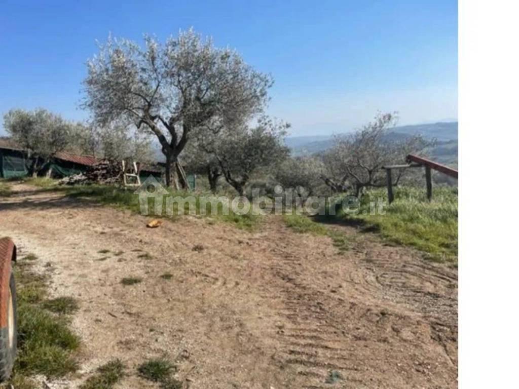 Terreno