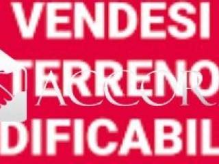 Altro
