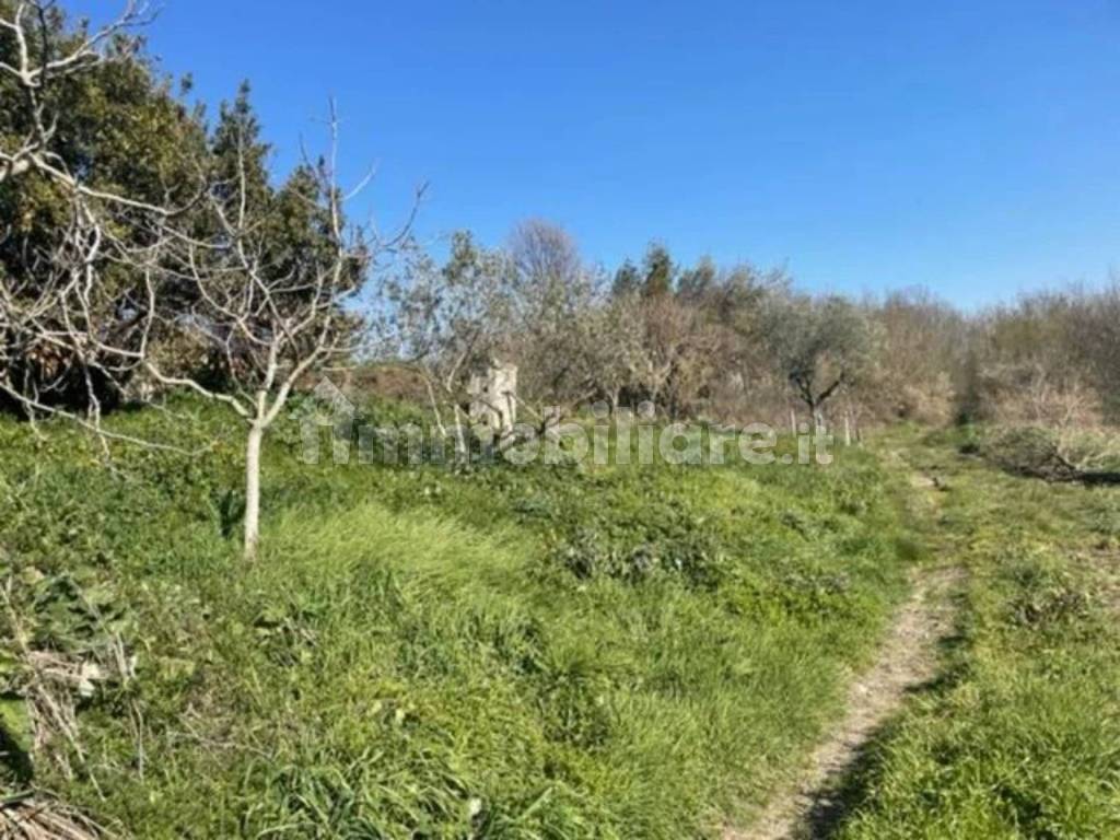 Terreno