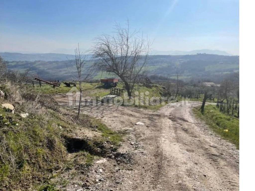 Terreno