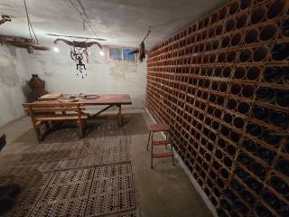 Cantina