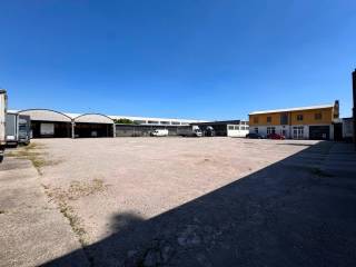 Zona