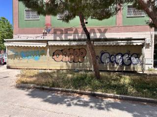 Zona