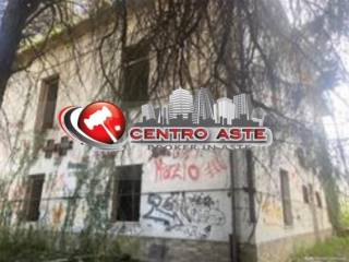 Zona