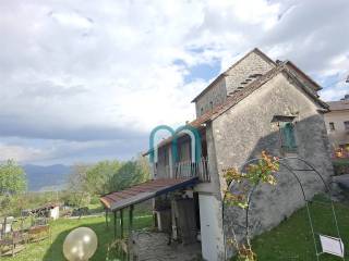 Vista