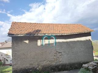 Zona