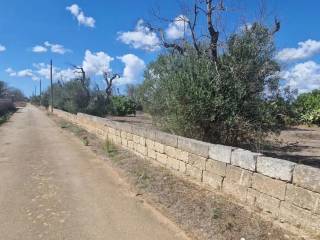 Zona