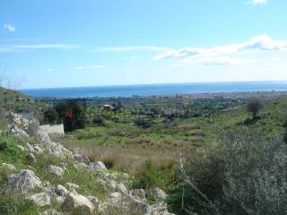 Vista