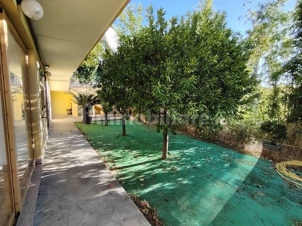 Giardino