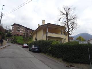 Zona